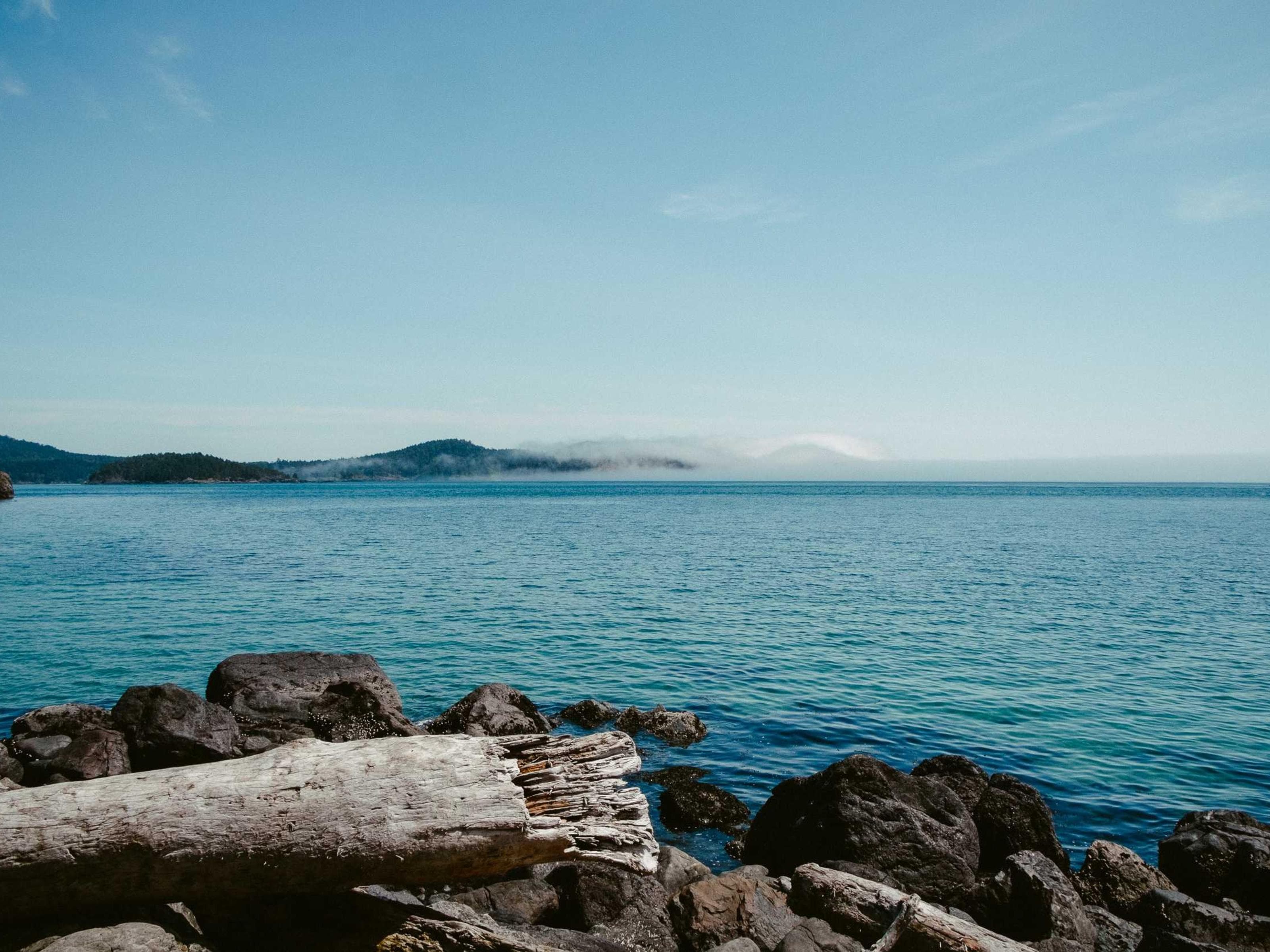 Kitchen renovation and cabinet installation