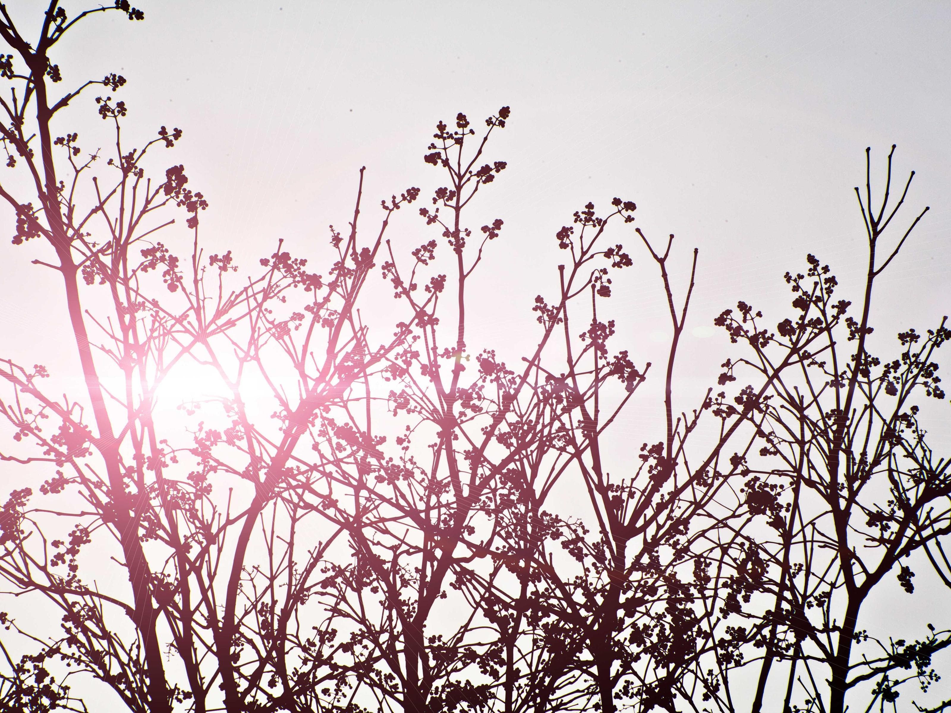 Electrical wiring and outlet installation